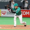 日ハム平沼、今季初スタメンで「世界一嫌いな」バントを2度決める