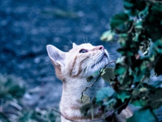 身長160センチですごくスタイルいい子が、体重○○キロあると知って衝撃。いくら胸が大きいといっても、胸だけで私と10キロの差なんて出ないだろうし。筋肉ムキムキでもないし…