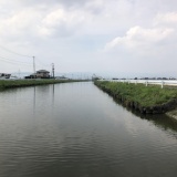 テナガエビ釣りに来た