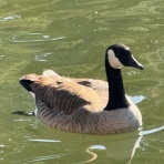 微事ログ エクスプローラーズ