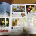 プロクレア：カタログギフト 2025年3月権利(7384)・青森名産品など多数、1年以上継続保有が必要