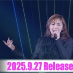 mzcll’s blog -Review about POP music-