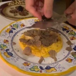 『IBISCO』の画像