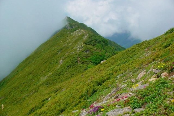 山旅歩記 日高山脈 サー