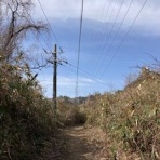 大阪の歴女と歴犬