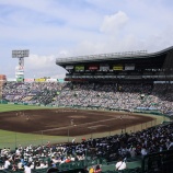『茫漠たる荒野のような野球観』の画像