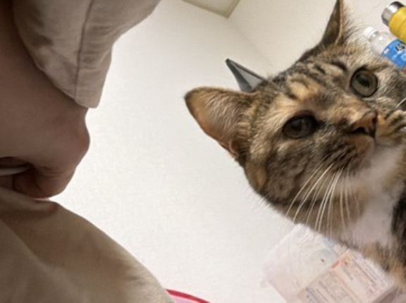 添い寝の継承　20260308