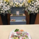 お空に帰りました🕊️