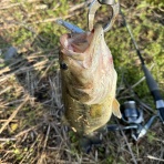 ＧＰ’ｓ ＲＯＯＭ なれの果て・・・