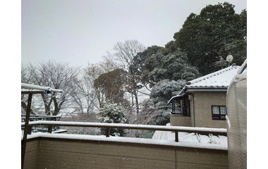 『またまたユキフル!!』の画像