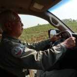 『地雷原』の画像