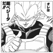 【悲報】スーパーベジータってセルゲームまでに精神と時の部屋入ってたよな？