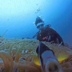 水先案内人の徒然日記