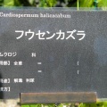 現在の状況250806