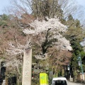 春の高尾山に登ってみる