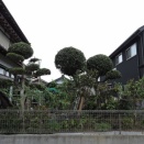 涼しくなった