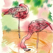 水彩画 原画 フラミンゴの嫁入り watercolor-tropical-bird-