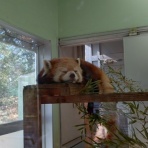 ひろピのノート