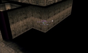 王城影ミッションの壁が邪魔で見えないときの対応