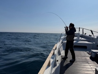 ティップラン。