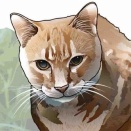 しっぽの形状あれこれ　20250802