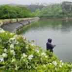 ここは ”日本”　xiexie 足柄SA の 夜間管理人 やってま～す の記録