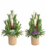 続？ さくら の のほほん道楽絵巻