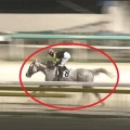 7/4 船橋ハートビートナイター記念(B1B2)【ホワイトヘッド≪60戦目≫】