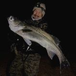 『初冬のプリスポーン in 遠賀川』の画像