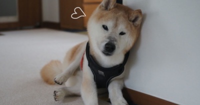 壁にもたれてひと休み♪
