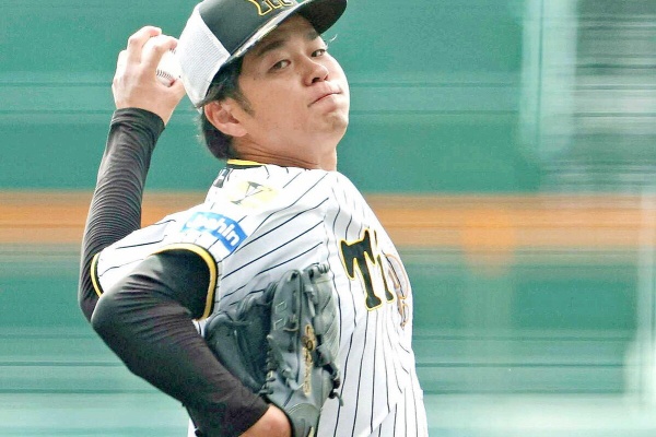 阪神タイガース ボブルヘッド 鳥谷 西岡 新井良 桧山 藤浪5体セット 阪神タイガース ボブルヘッド 鳥谷 西岡 新井良 桧山 藤浪5体