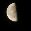 今朝の月