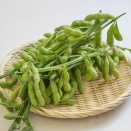 「枝豆」の美味しい茹で方　お料理上手になるための超基本