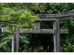 【速報】中国人、次は日本の歴史ある寺社を爆買い！！！ 跡継ぎの居ない宗教法人が中国人の手に！！！