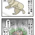 病院で悟りを開かれたグリ様