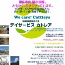 Blogで知るデイサービスカトレアの１０周年！