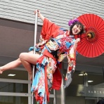 涌キ園日記帖～転がる小岩