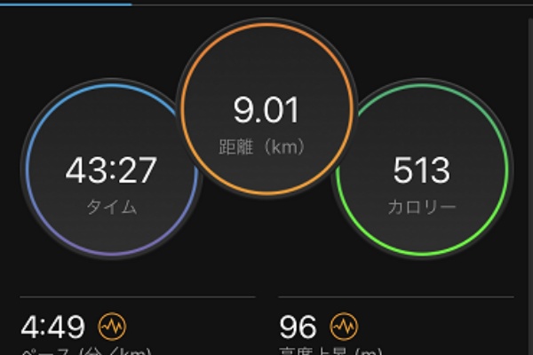 時折走る 本日のラン
