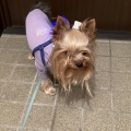 毎日、暑すぎて・・・