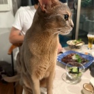 平川屋さんの豆腐丼の夜ごはん
