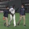 【vsオリックス】日ハムR.ロドリゲスにアクシデント　打席途中で交代
