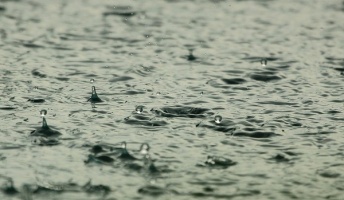 【雨の音】雨の日のあのワクワクする感覚、分かるやついる?【雨の景色】(動画あり)