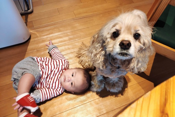 だいもん部長ブログ アメコカ