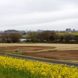 『雨の影響が心配です』の画像