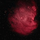 『投稿：江戸川区＋DBPフィルターによるリアルなモンキー星雲【追記】2022/02/07』の画像