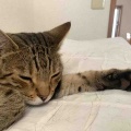 それぞれに、シュワッチ！