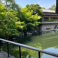 5月20日のお稽古ー茶筅荘、盆点、濃茶薄茶平点前