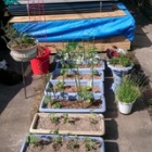 �غ�ǯ����ڡ٤β���