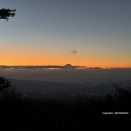 ありがとうございました。