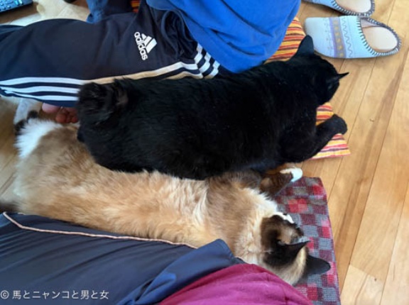 付いて行きます